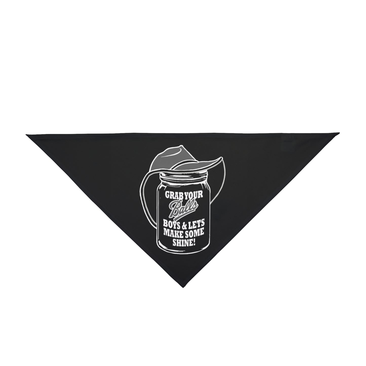 Pet Bandana - Lets Make Some Shine!